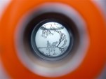 Le petit bout de la lorgnette