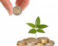 pile de pièce, investissement, argent, feuille