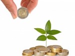 pile de pièce, investissement, argent, feuille